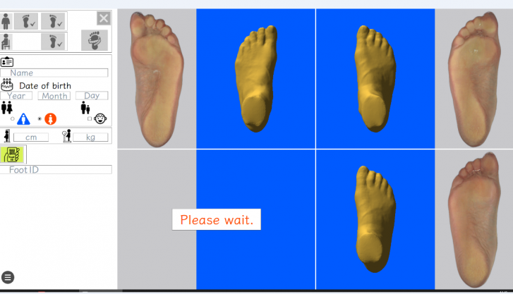 DGP RealfootPROの3D足型表示画面