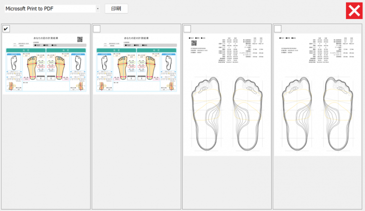 DGP RealfootPROの足型レポート出力画面